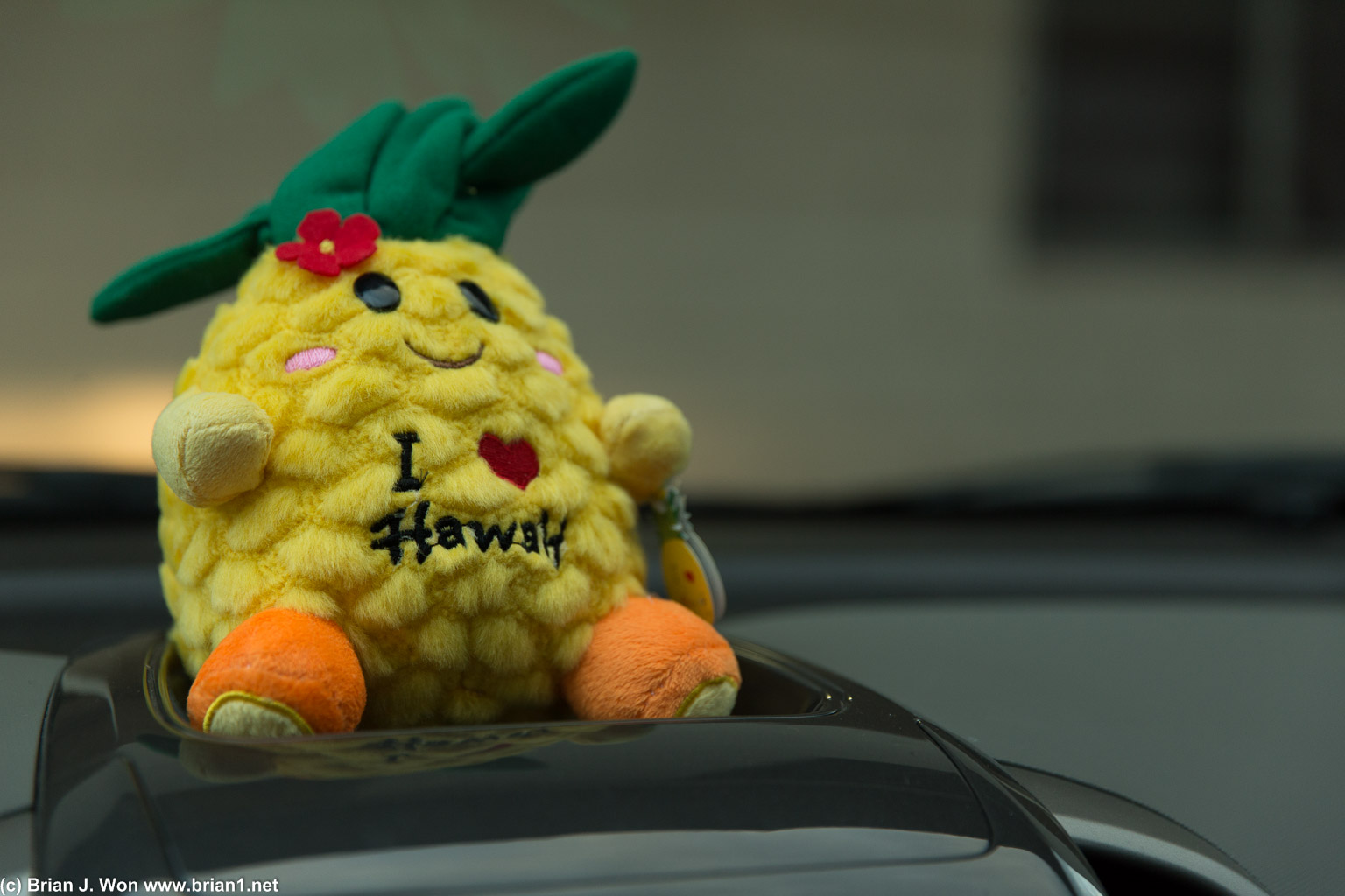 I <3 Hawaii on a pineapple, of course.