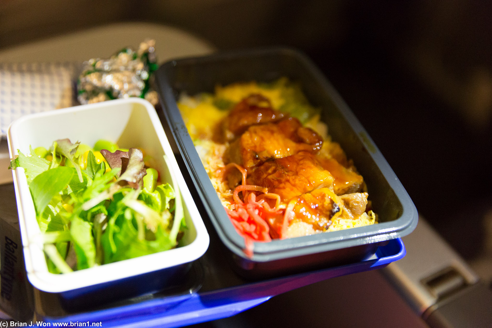 Chicken teriyaki in United Economy Plus. Best to be said? It keeps you alive.