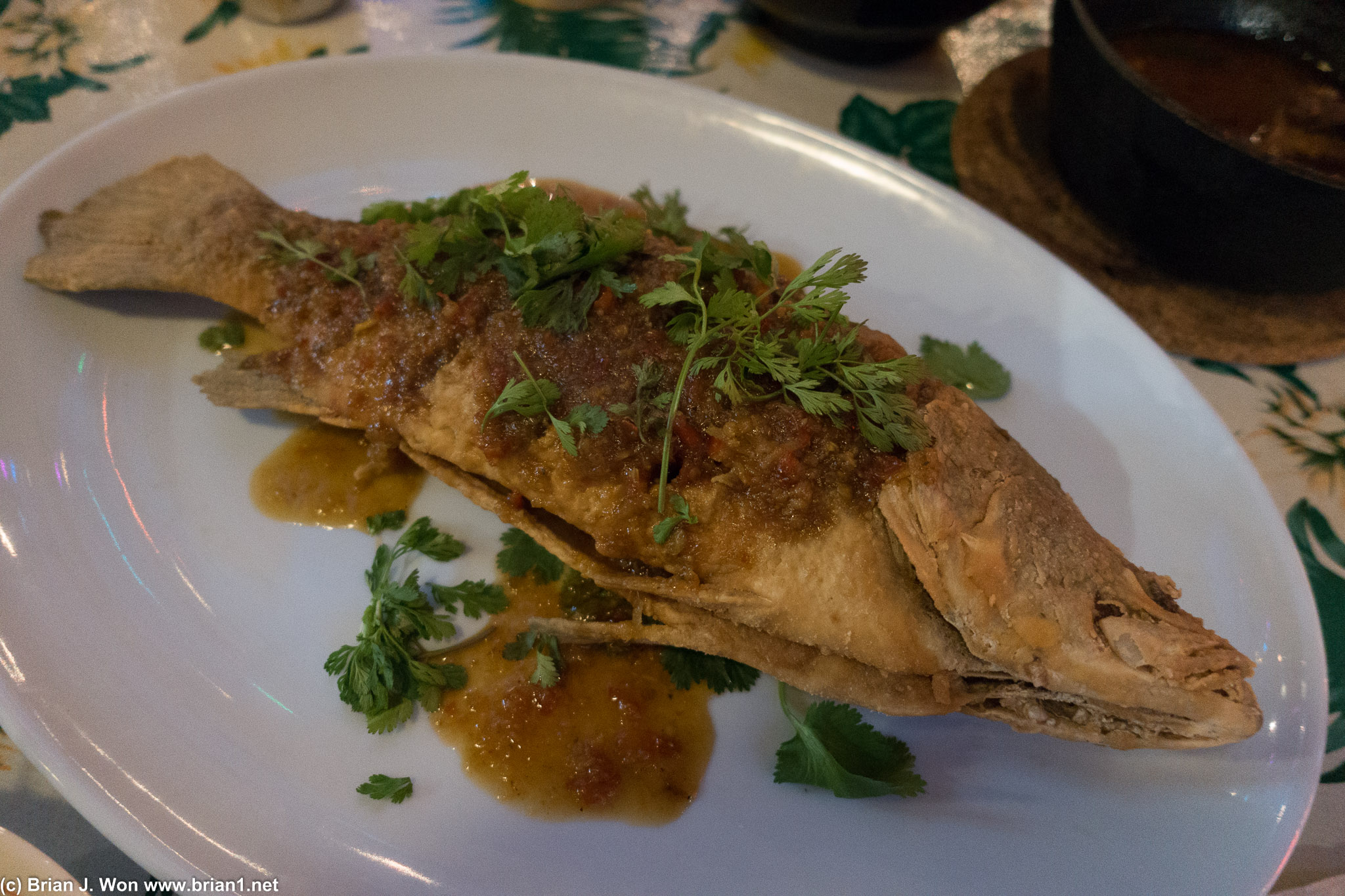 Cha Cha "La Vong" (fried catfish). Delicious.