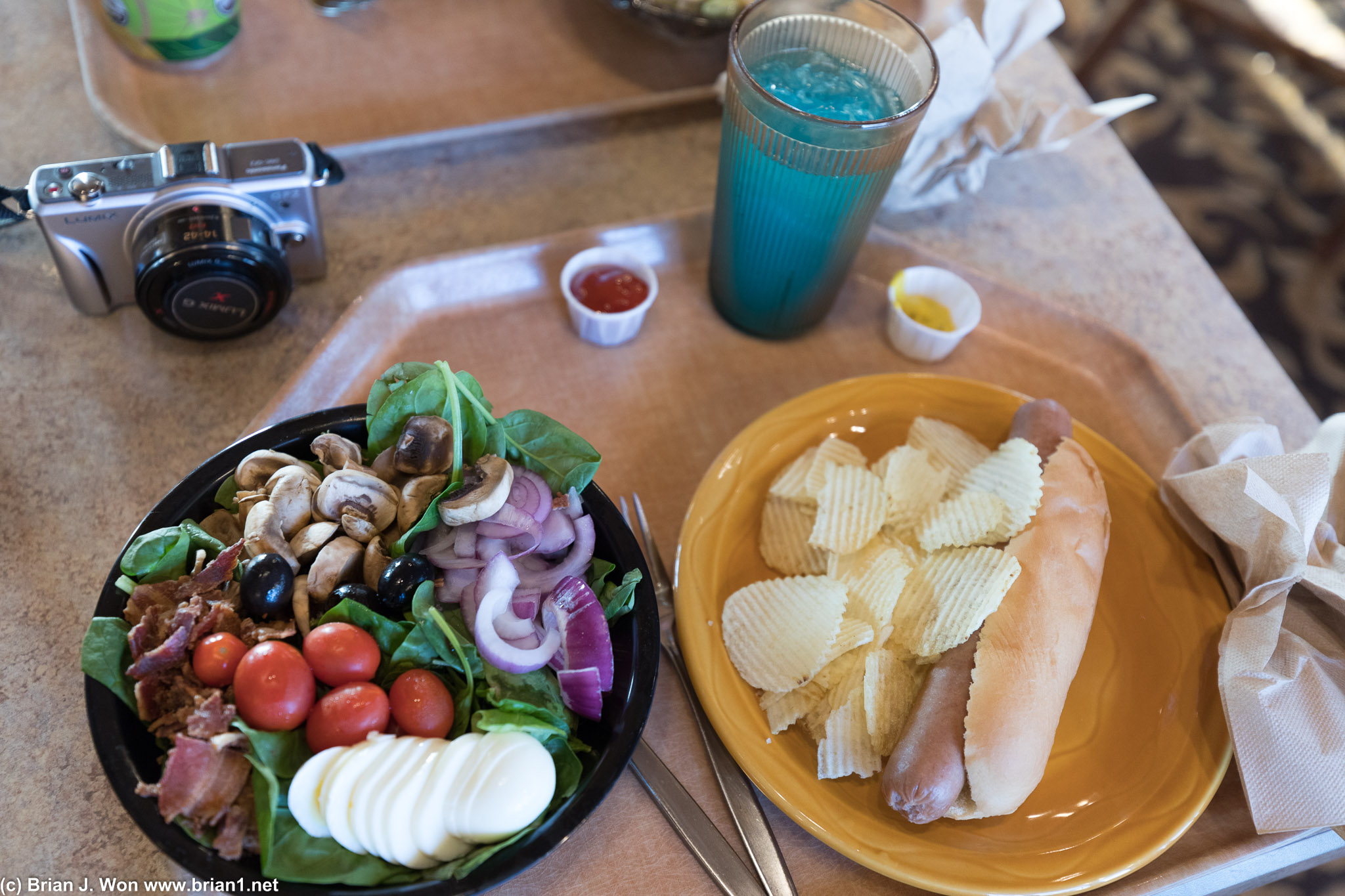Travel through Middle America: indifferent cafeteria food and a camera.