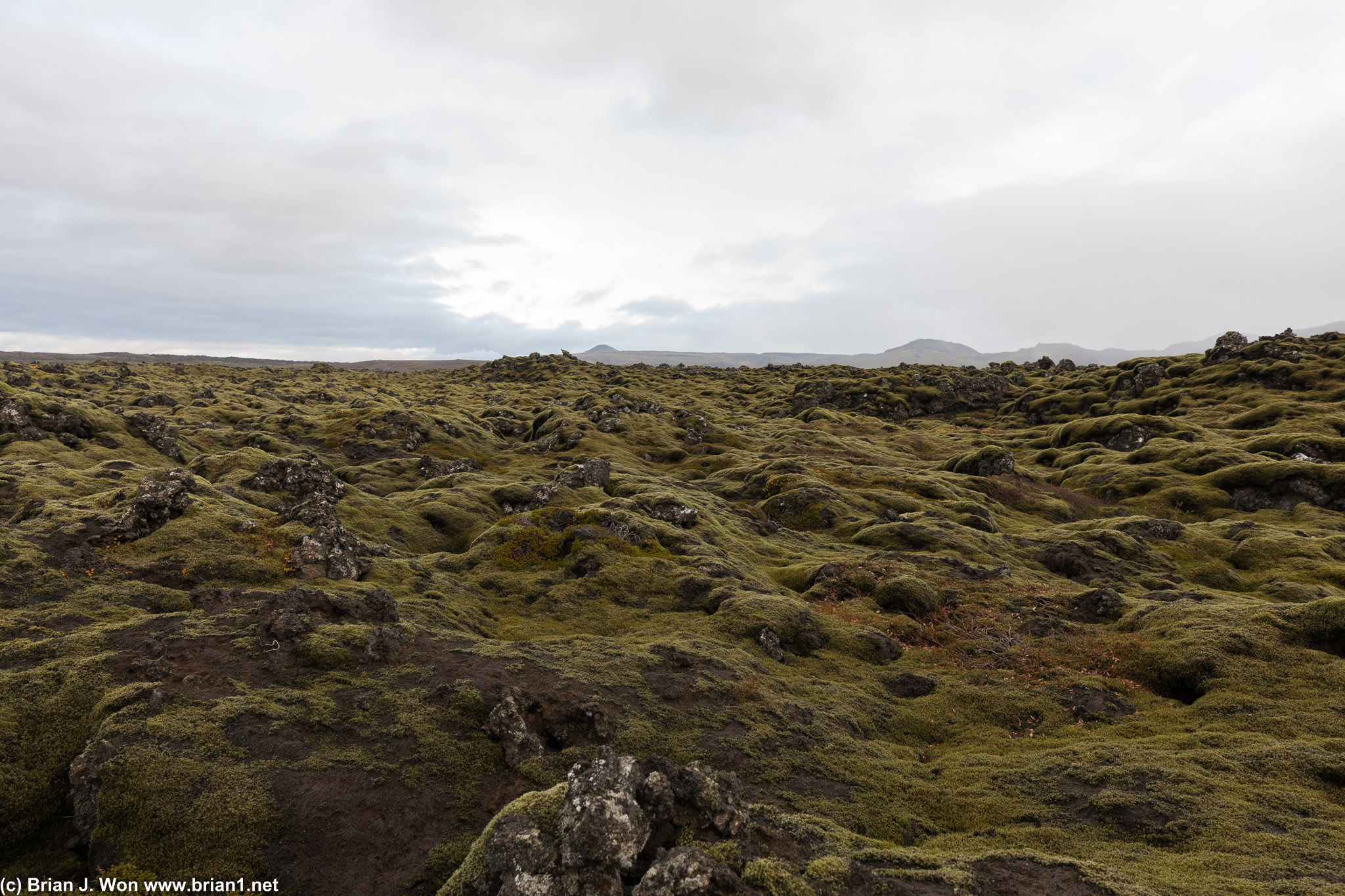 Lava field inside Reykjanes Geo Park.