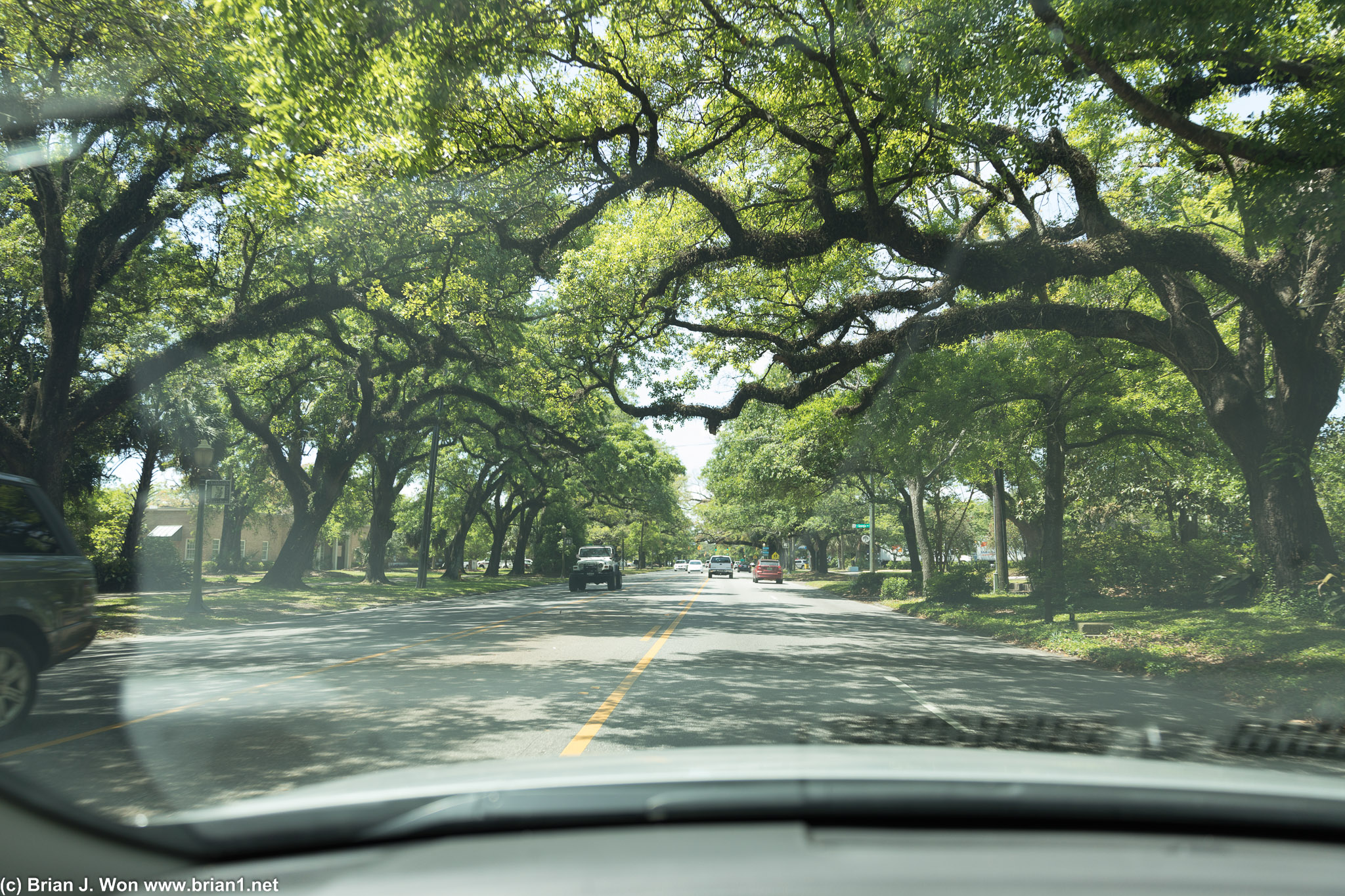 Tree-lined streets of Mobile, AL.