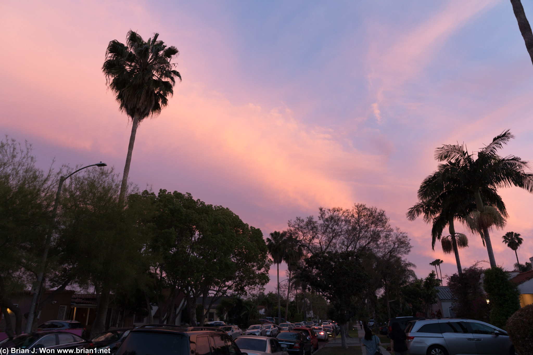 Sunset over a crowded Melrose neighborhood.