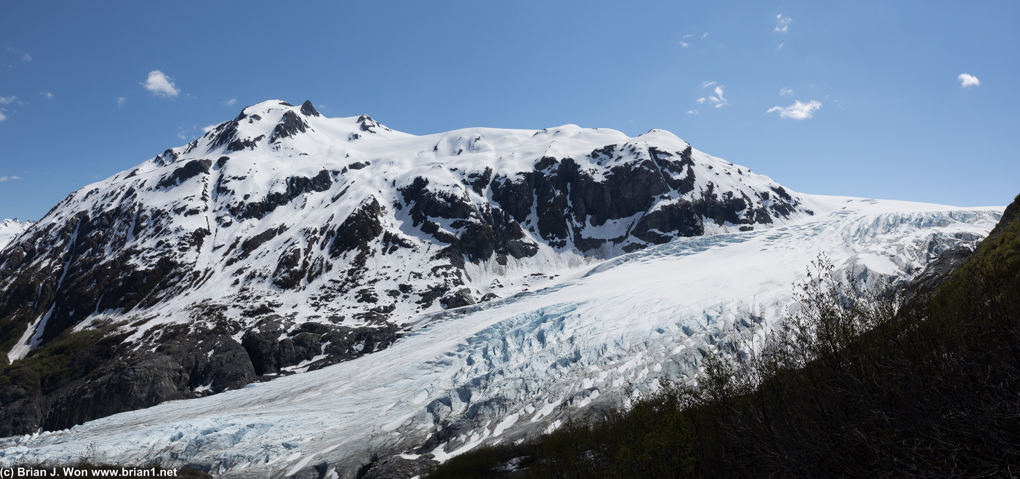 Panoromic shot of Exit Glacier taken near Marmot Meadows.