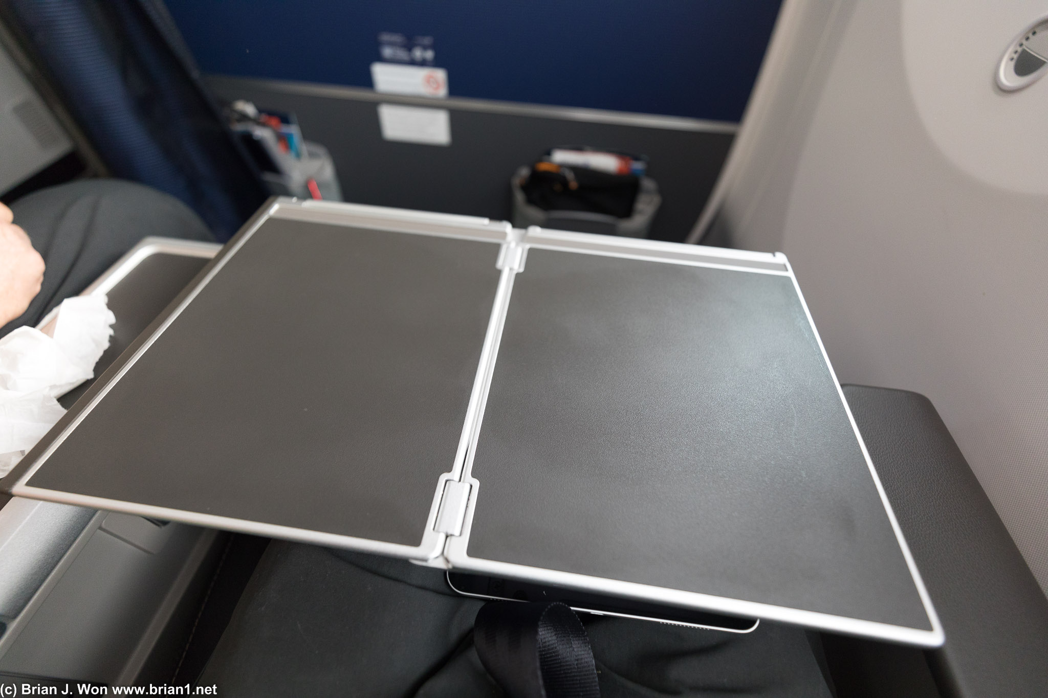 Tray table fully extended.