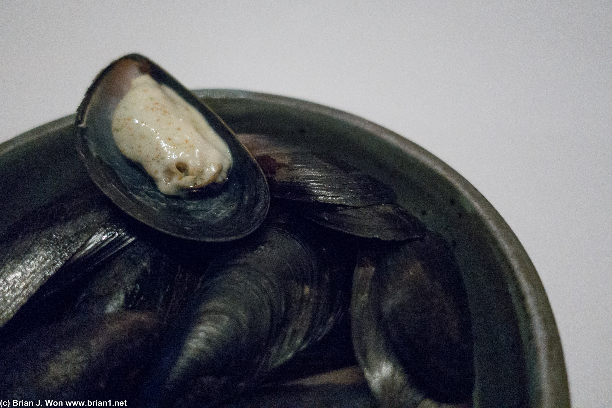 Mussels. British Columbia.