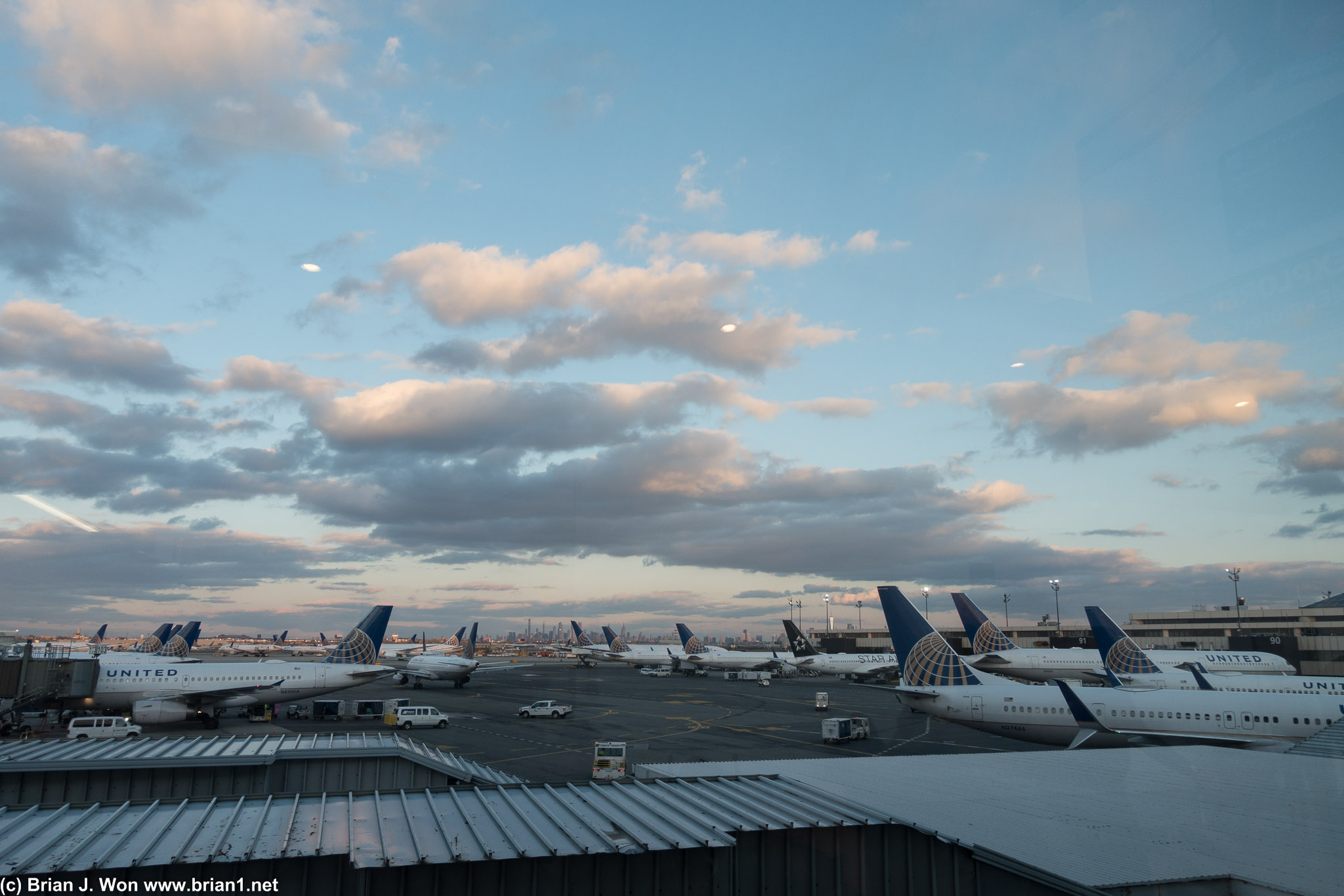 A sea of United tails.