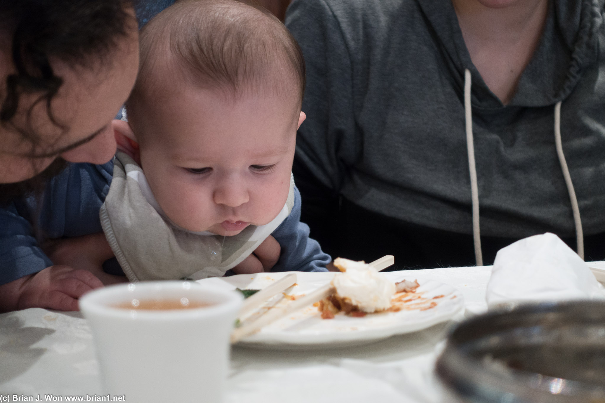 Baby Tony was very interested in dim sum.