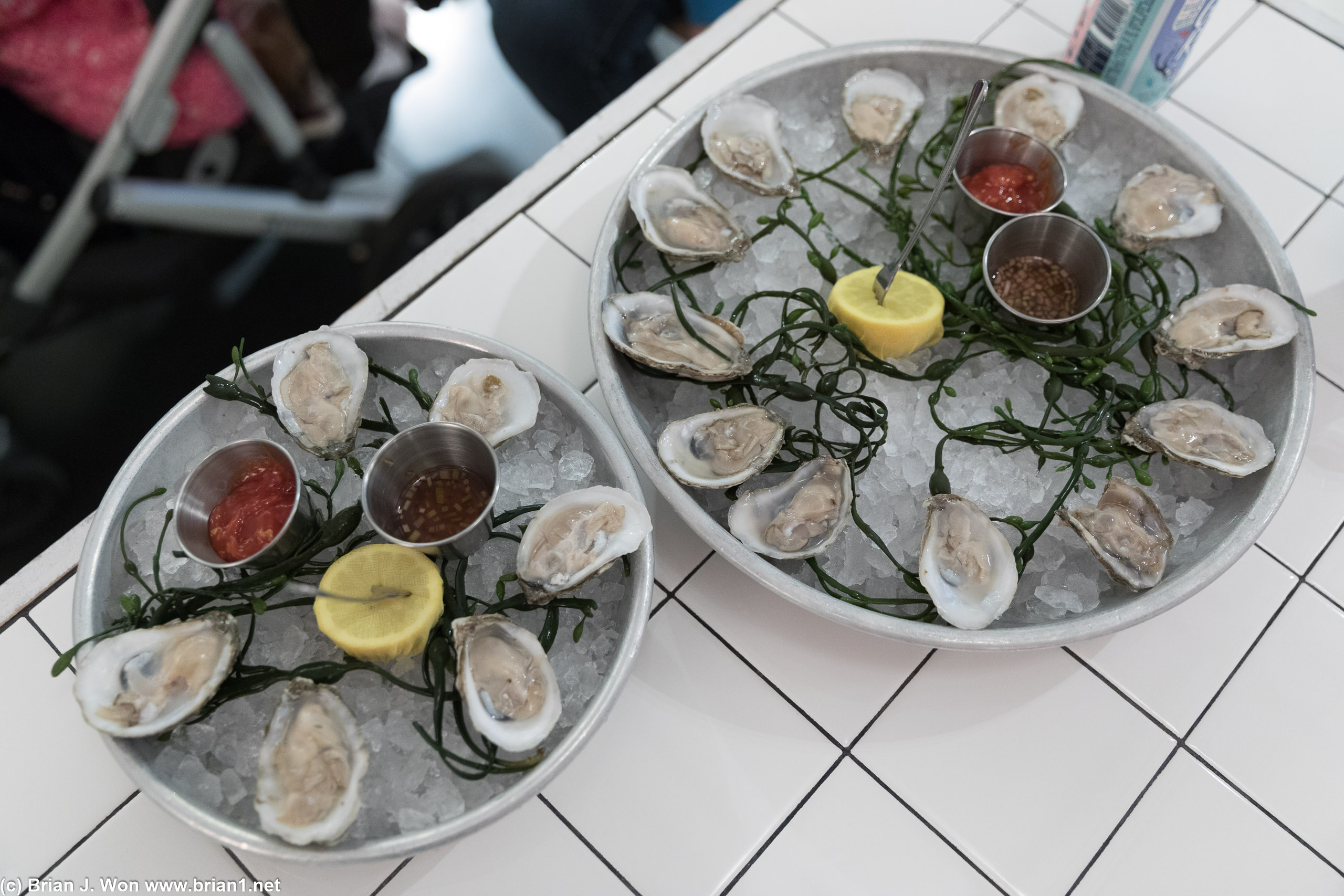 Oysters? Yes please!