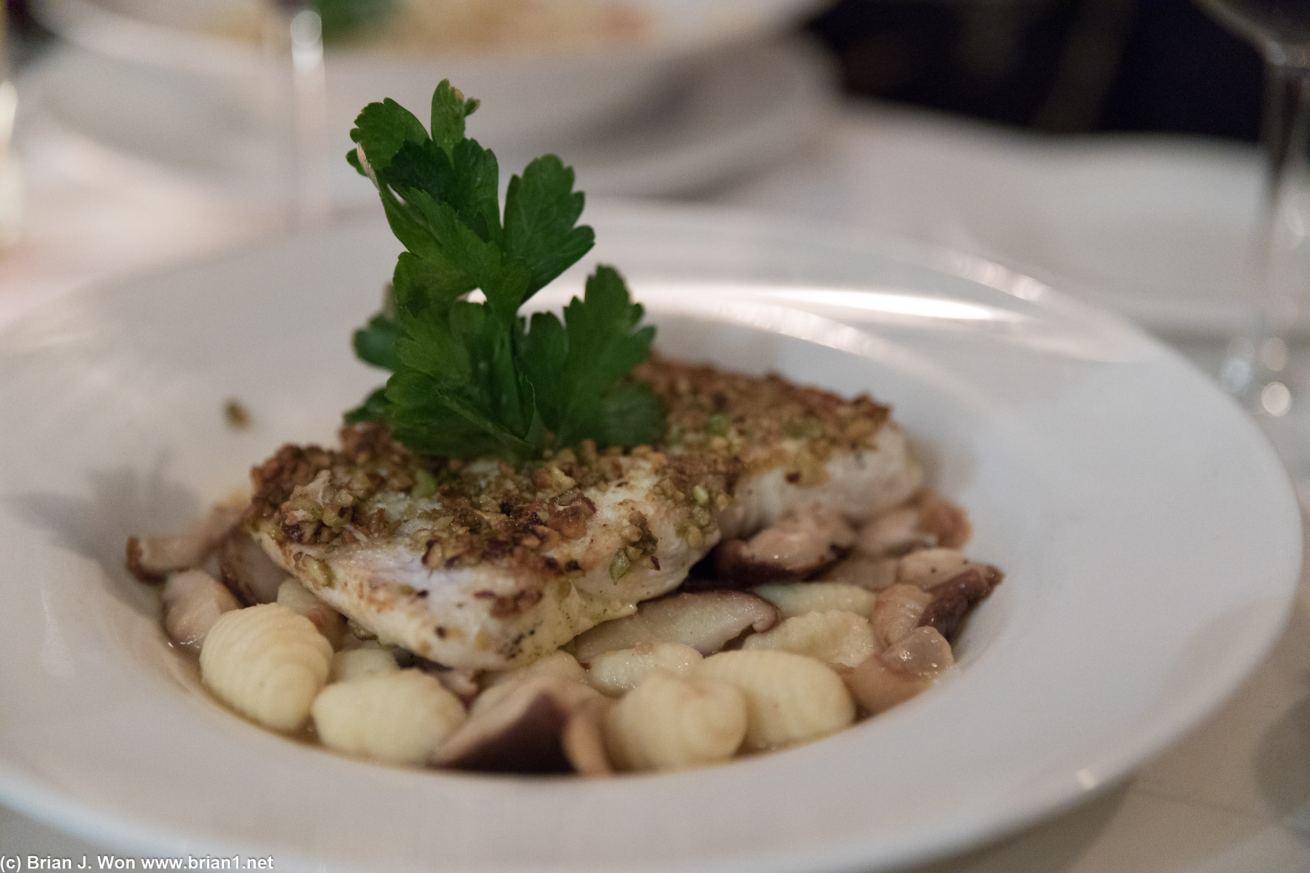 Daily special fish and gnocchi. Quite good, with very fluffy gnocchi.