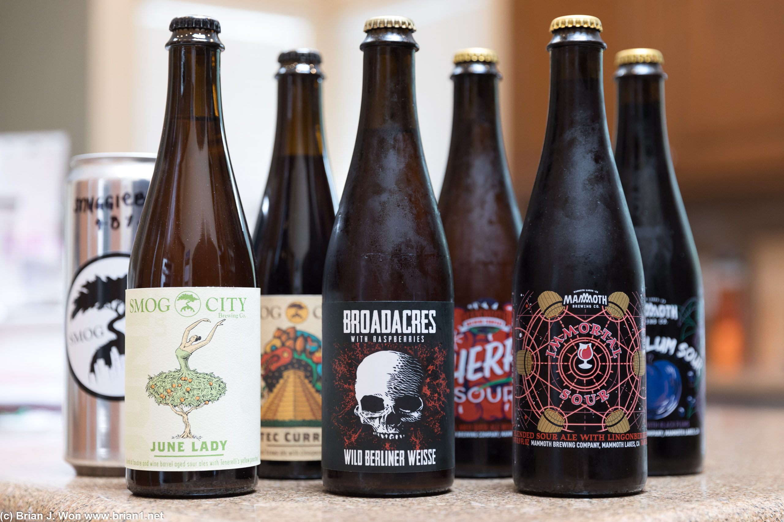 Sour beers from Smog City, Phantom Carriage, and Mammoth Brewing.