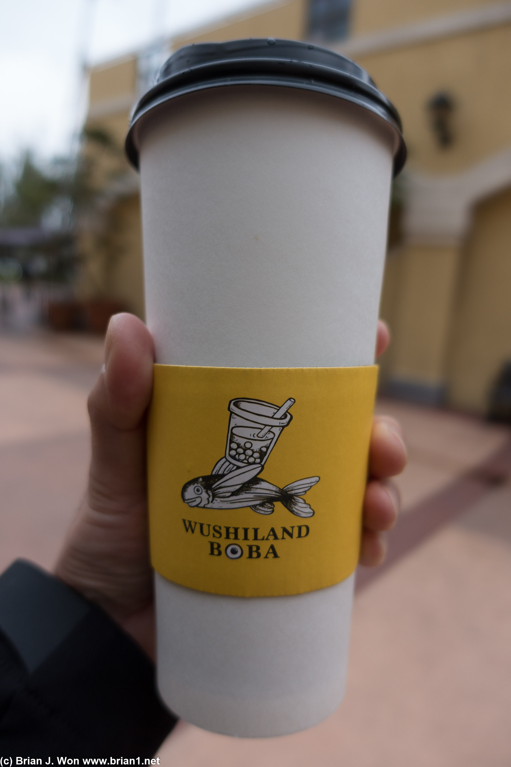 Hot roast oolong milk tea from Wushiland Boba on a cool day.