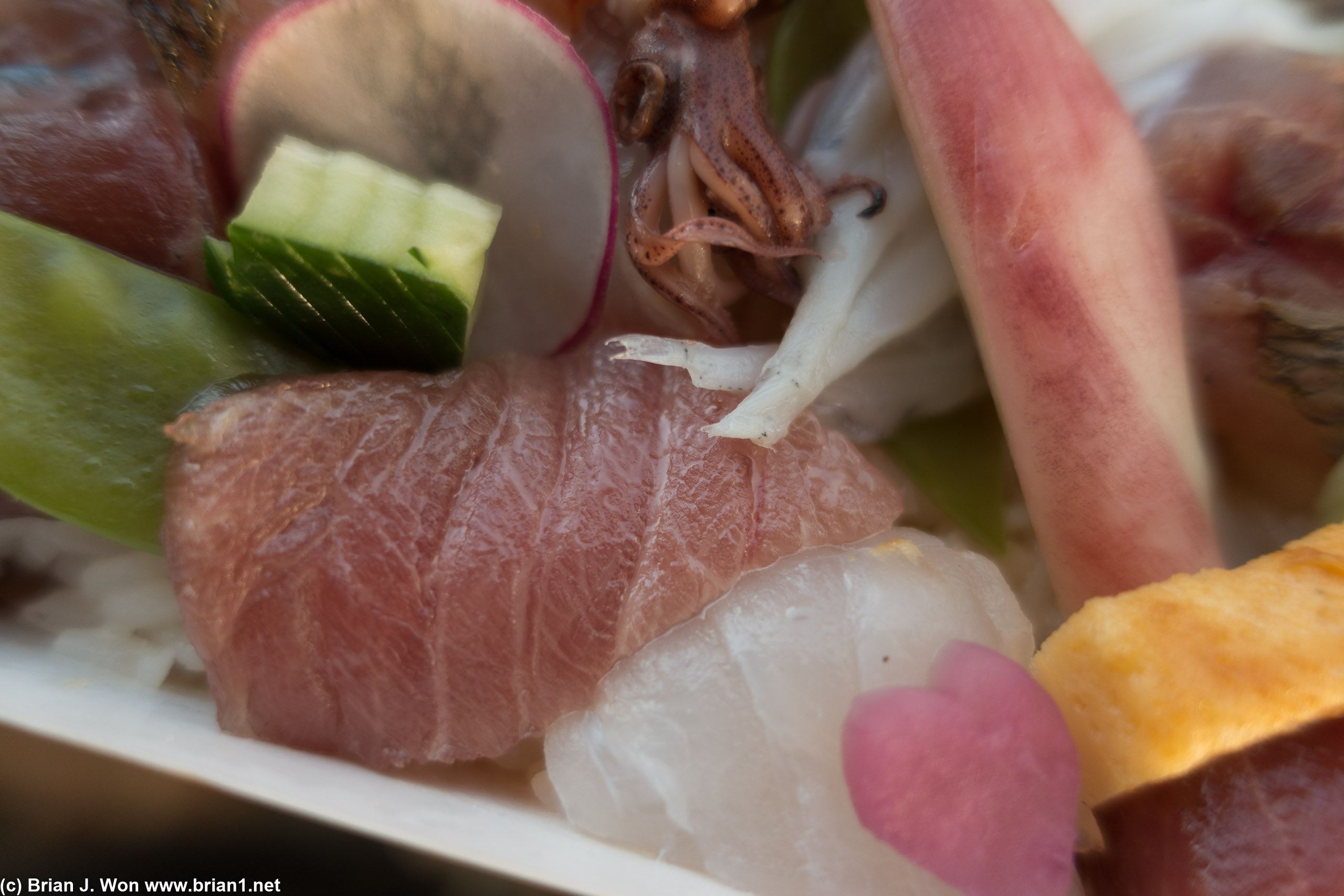 Close-up of chutoro and daikon, with a firefly squid peeking at top.