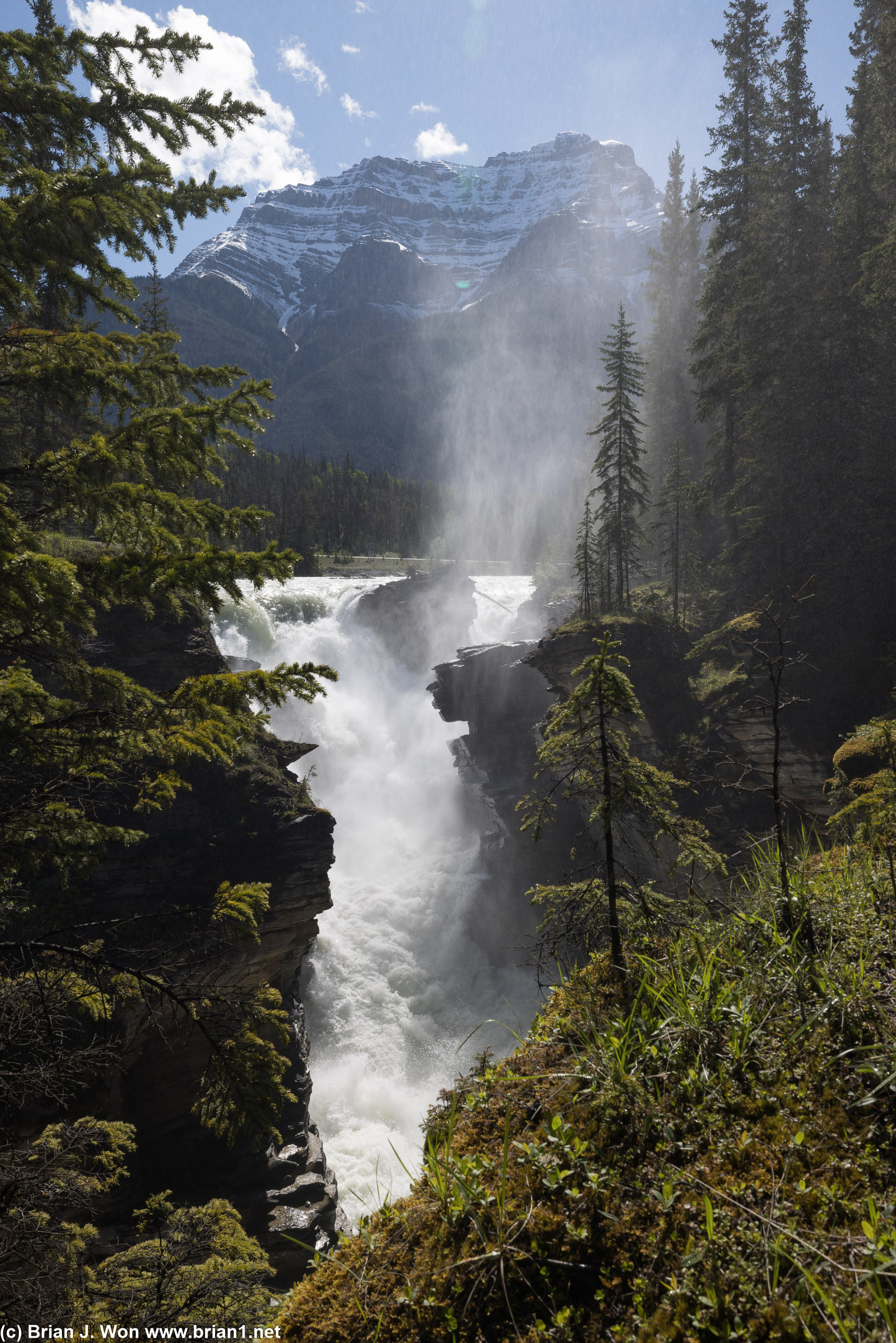Athabasca Falls.