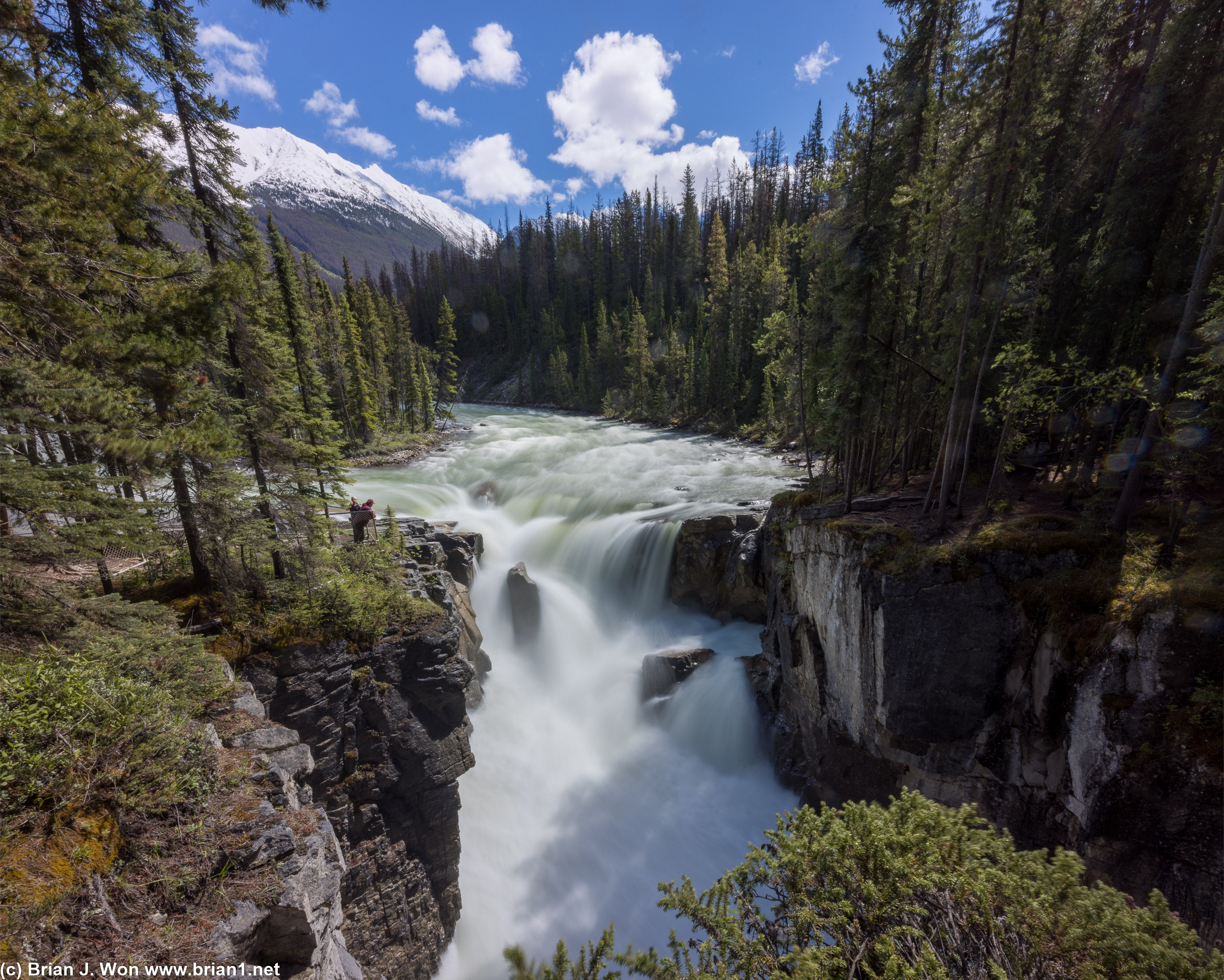 One more shot of Sunwapta Falls. Could not find the classic angle, suspect it's off-limits now?
