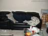 dscf5761.jpg