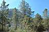 20050403_pano01.jpg
