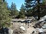 dscf1398.jpg