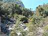 dscf1399.jpg