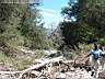 dscf1401.jpg