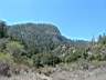 dscf1404.jpg