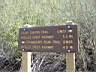 dscf1417.jpg