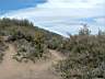 dscf1441.jpg