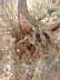 dscf1454.jpg