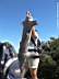 p1060050.jpg