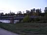 p1510447.jpg