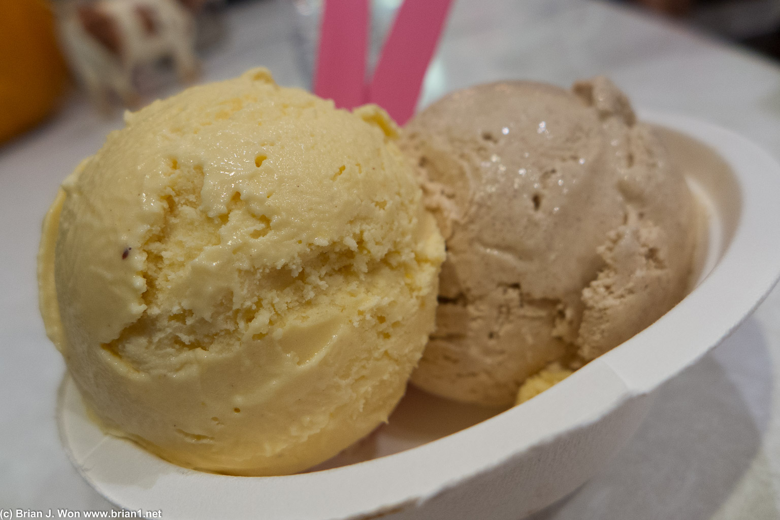 Pumpkin and cinnamon ice cream. Tasted just like pumpkin pie. MMM.