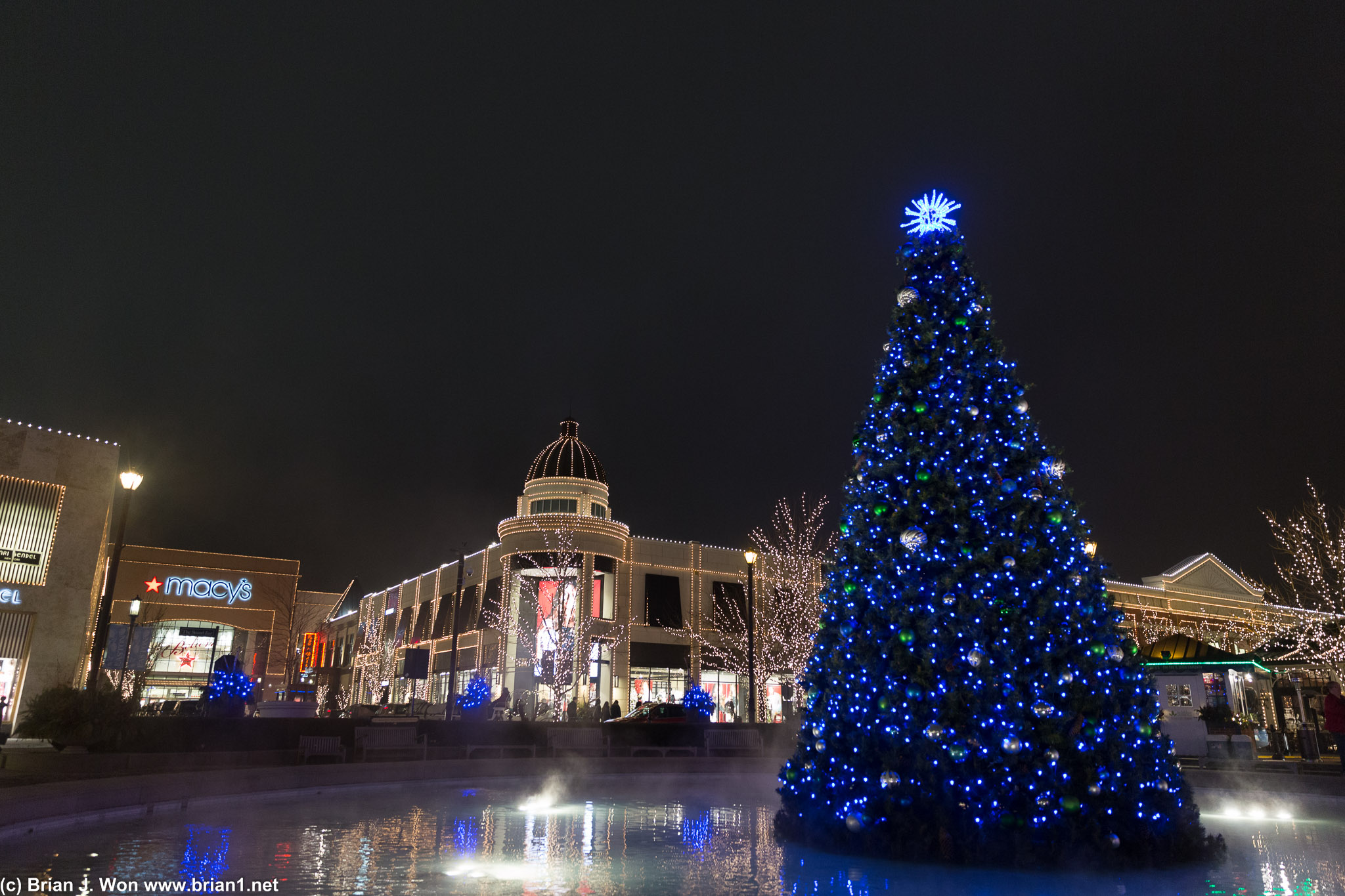 Christmas tree.