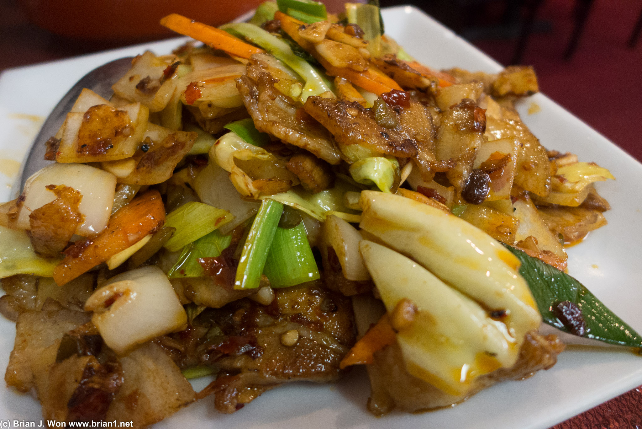 Twice-cooked pork. For a modest dish it was pretty good too. A bit too heavy on veggies.
