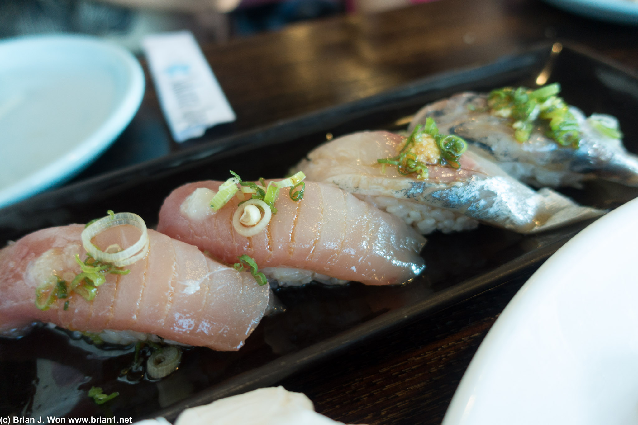 Albacore and Spanish mackerel. Nomnom the spanish mackerel....