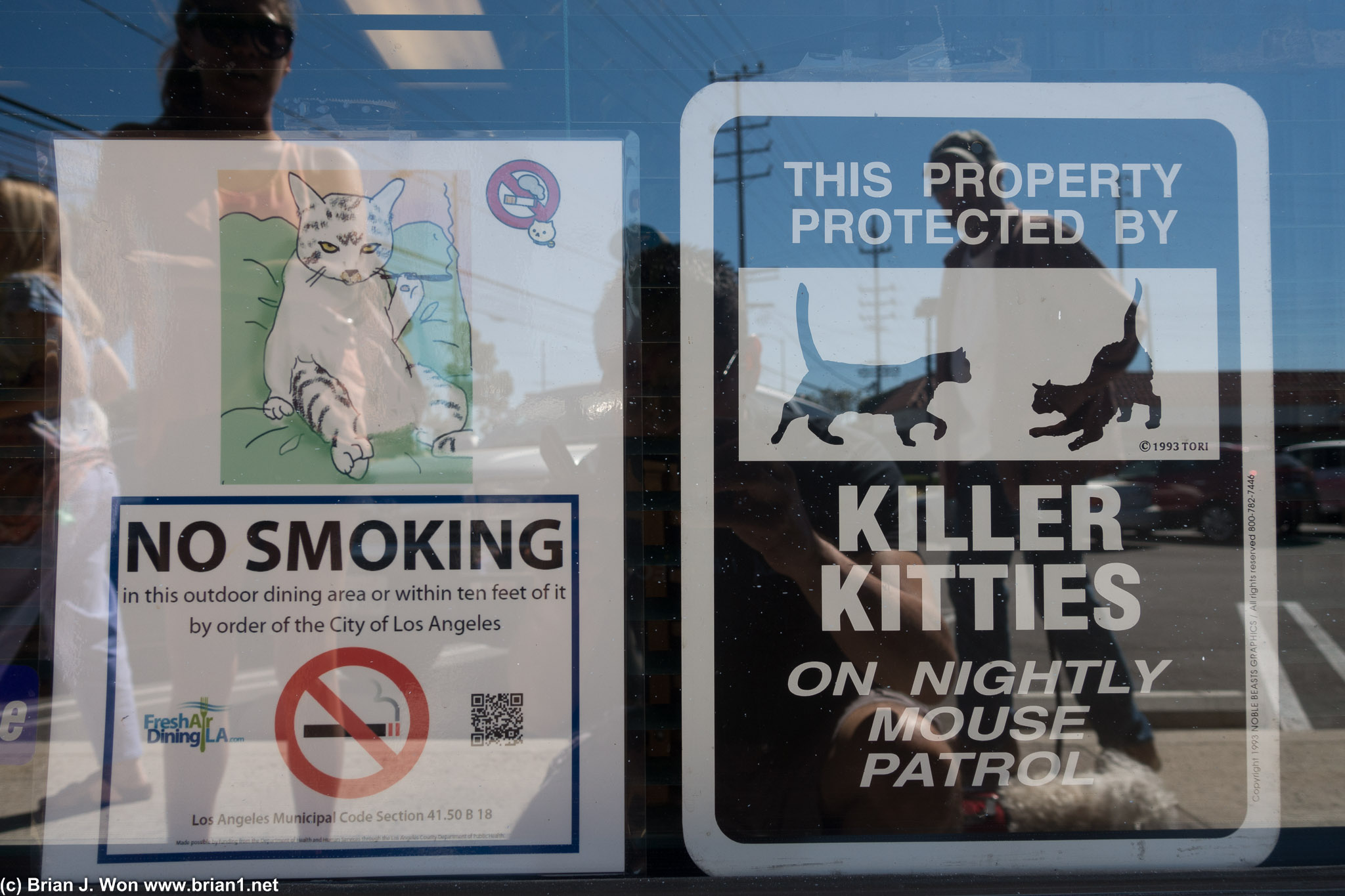 Killer kitties!