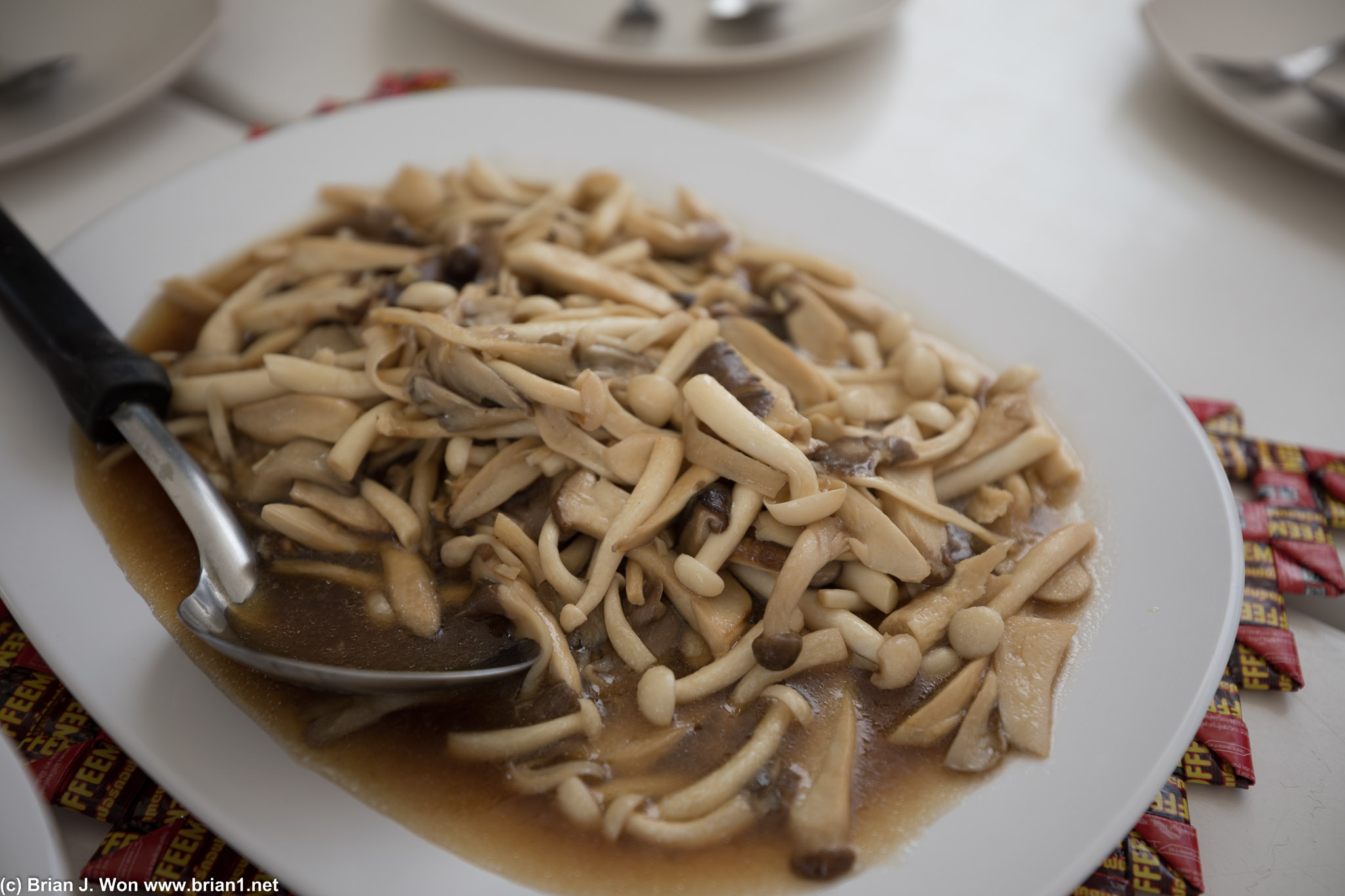 Plate full of mushrooms.