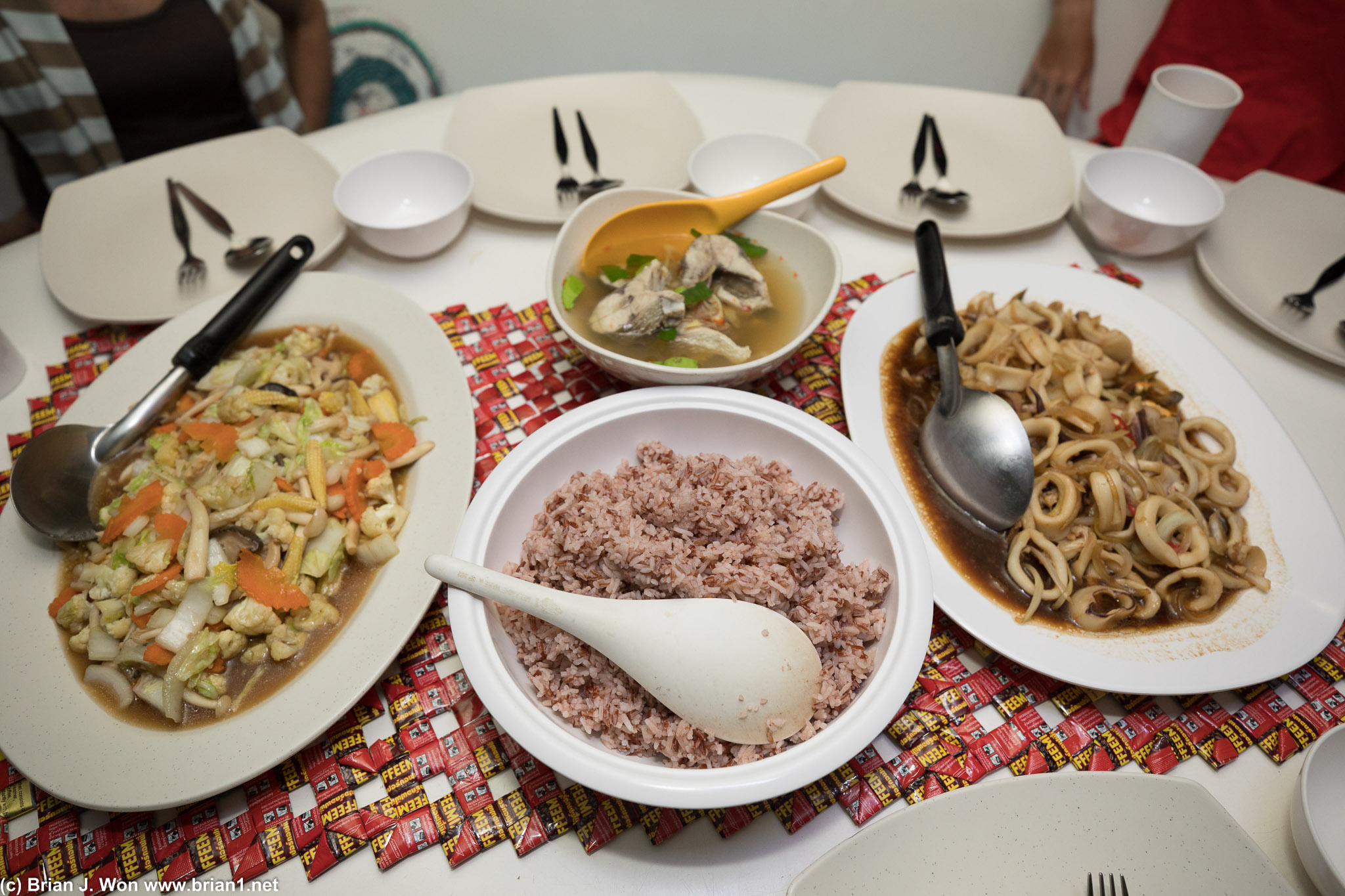 Veggies, mushrooms, fish soup, rice, and squid!