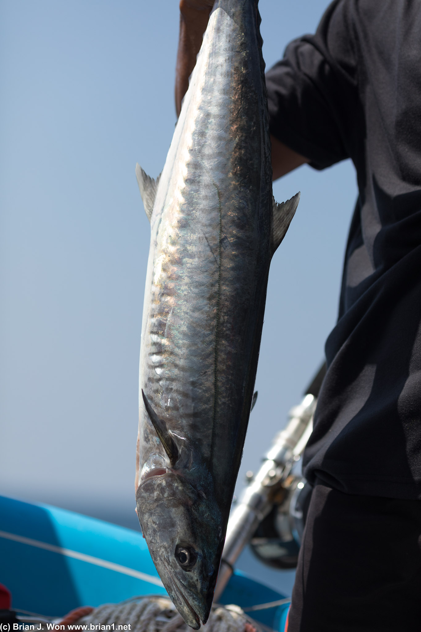 A small one, according to the crew.