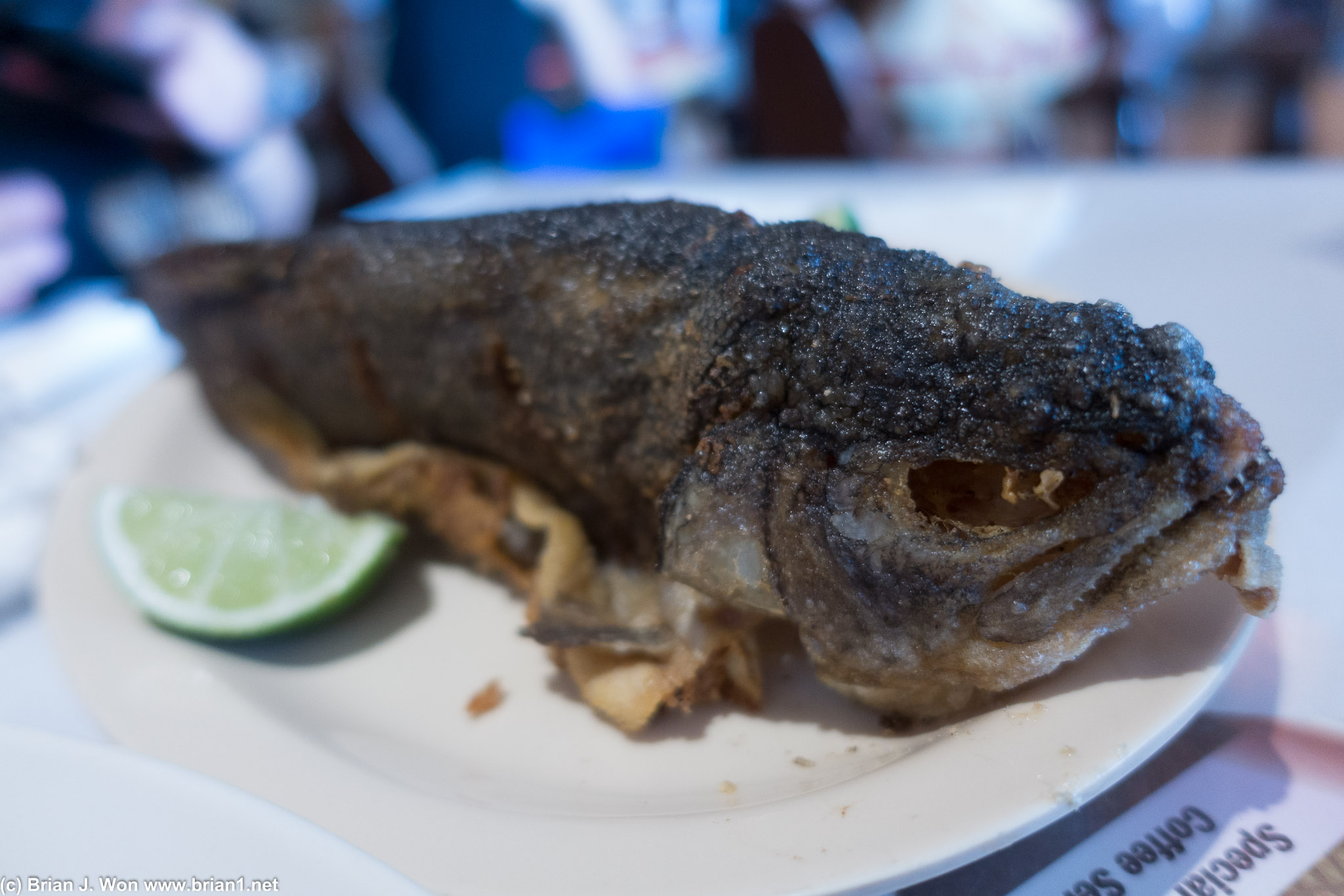 Fried fish was excellent.