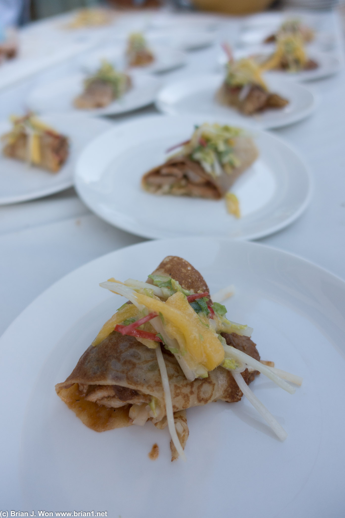 Pork rolled in tortillas.