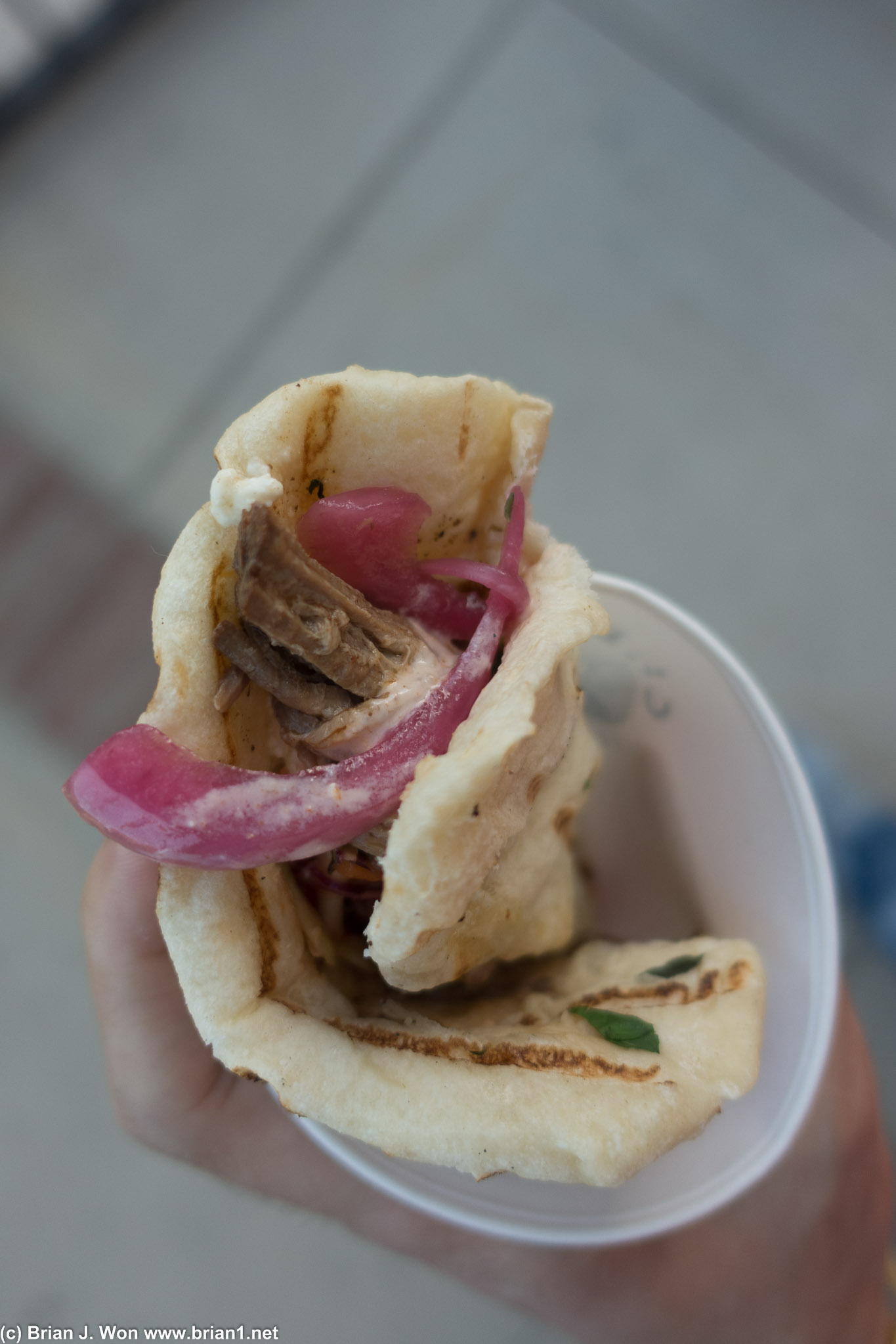 Pork in a pita.