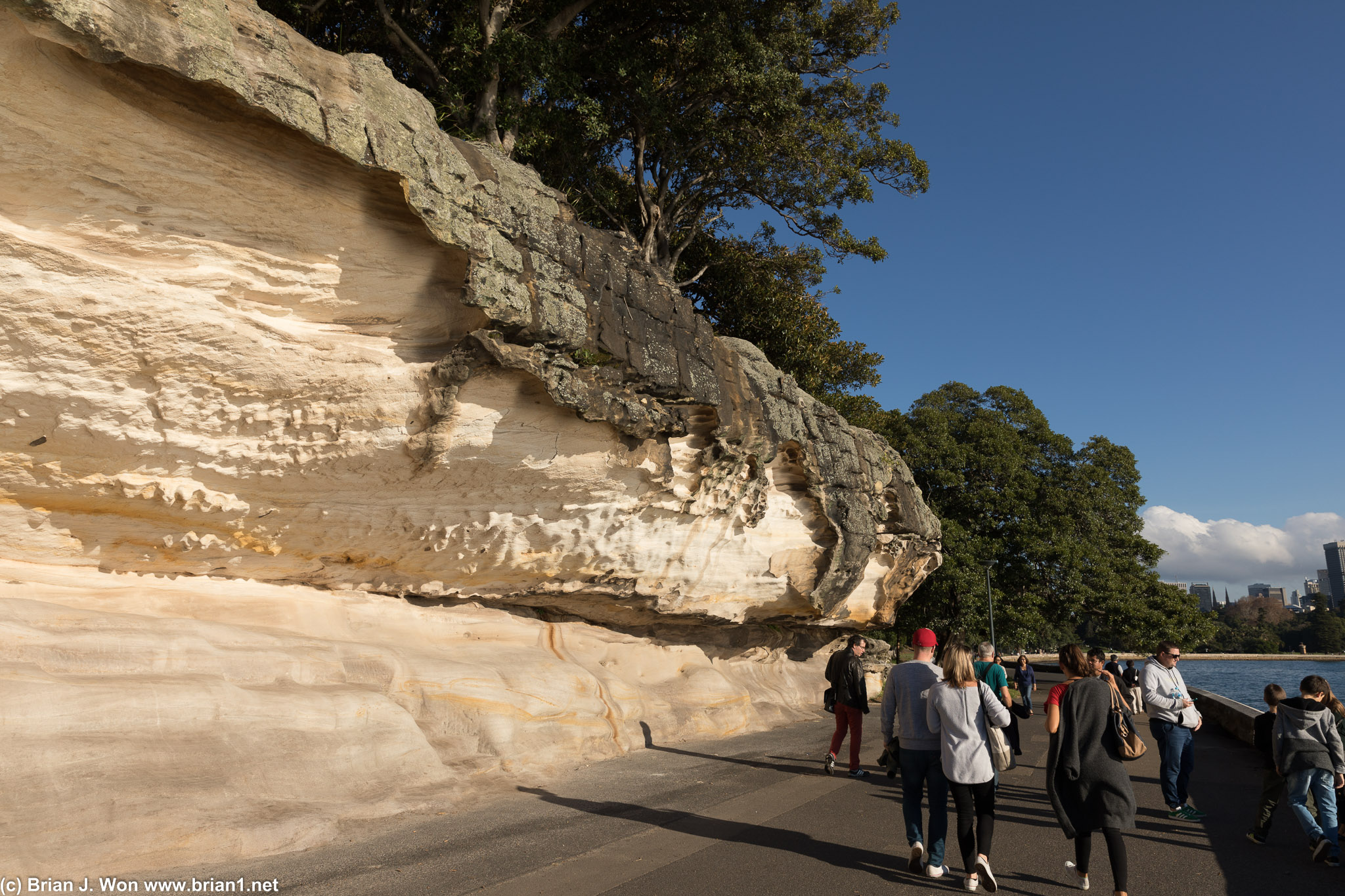 Hordes of tourists at Mrs. Macquarie's Point.