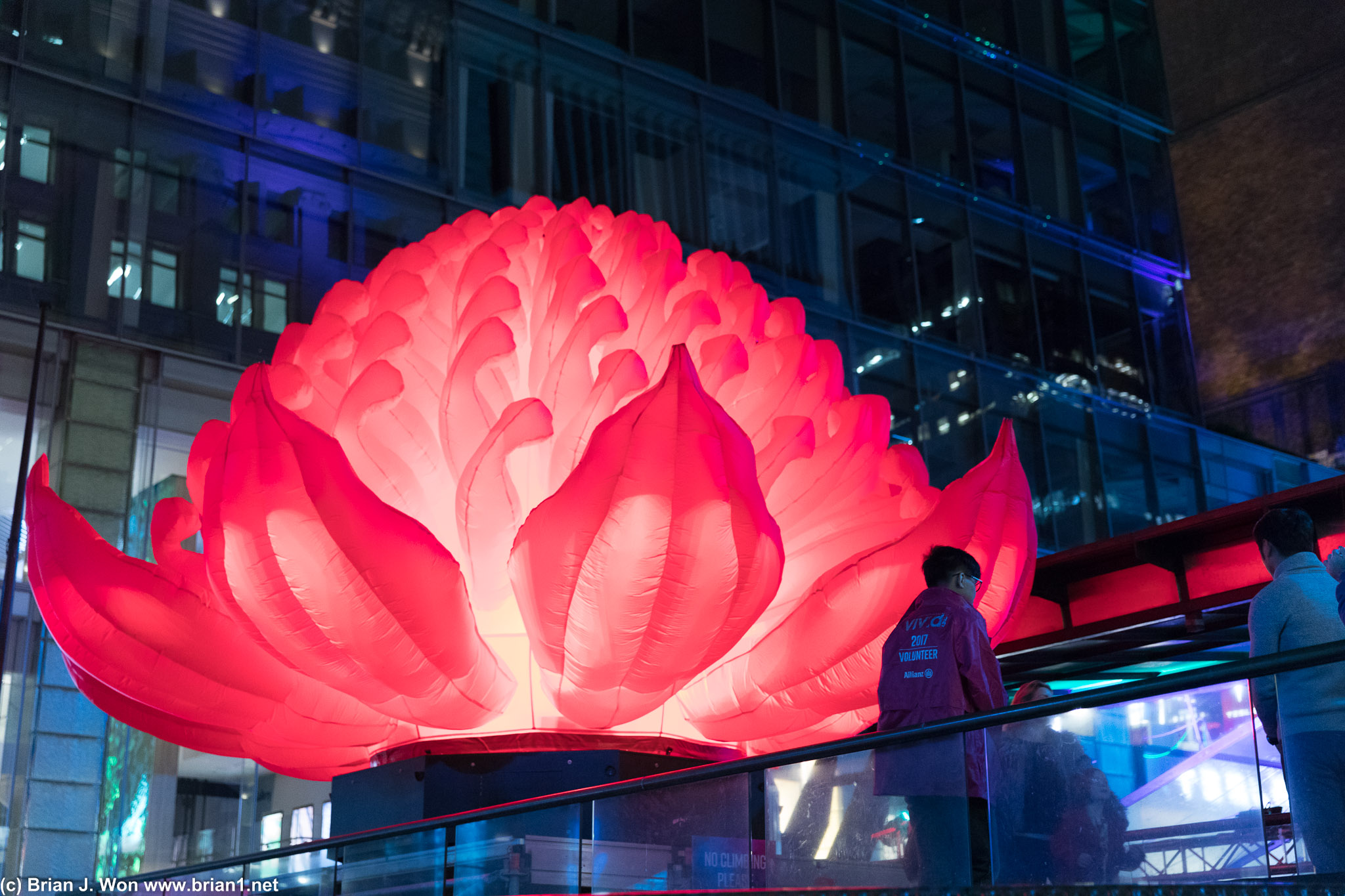 Gigantic inflatable flower.