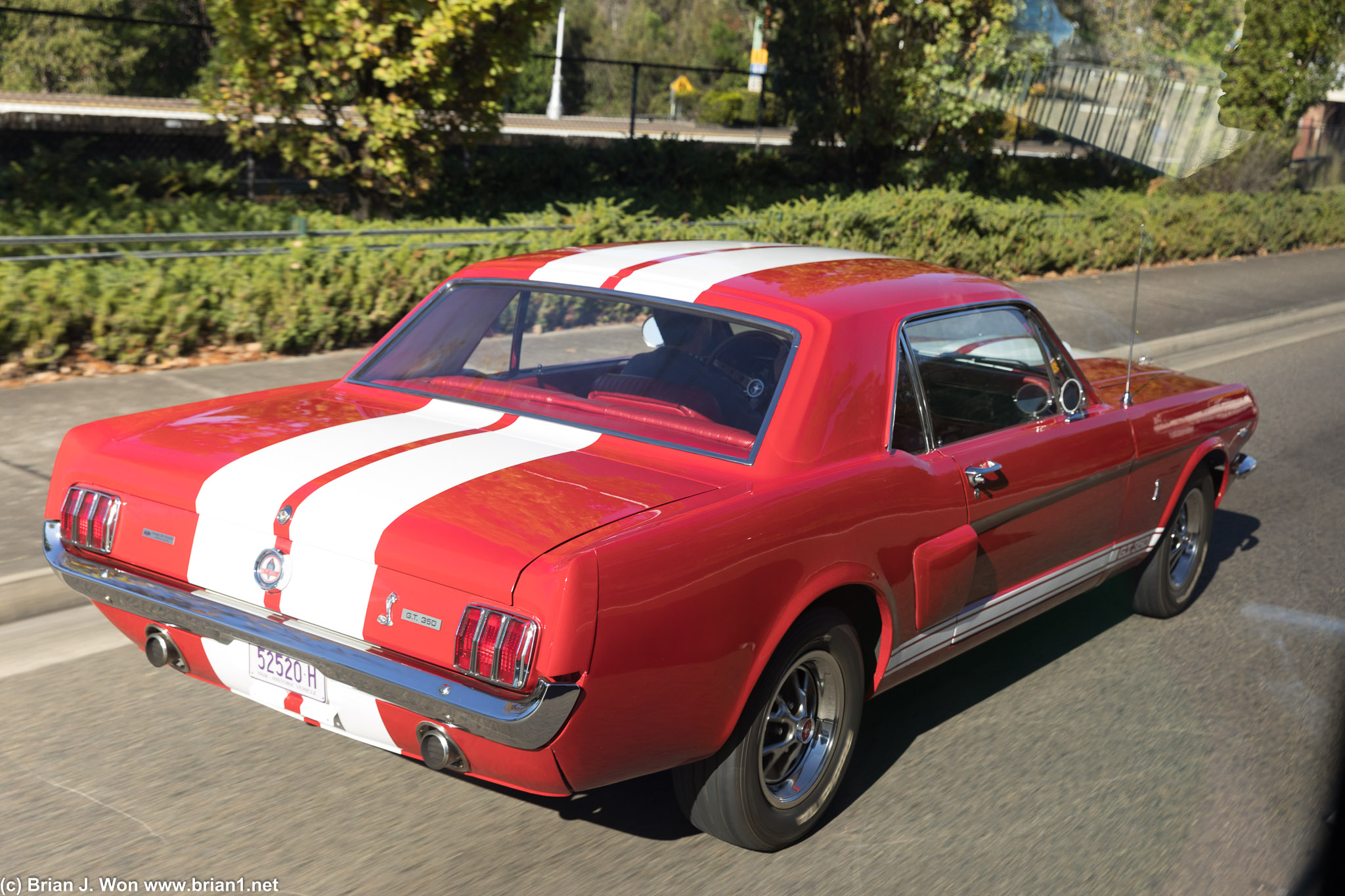Convoy of classic cars on the way into the Blue Mountains. Shelby GT 350 brought up the rear.