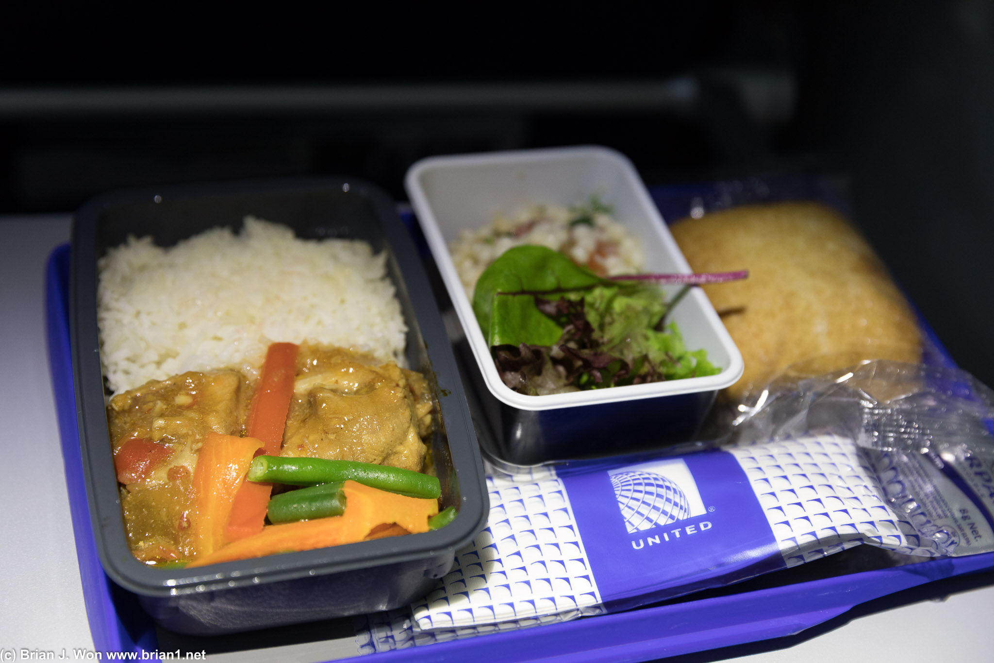 Chicken was surprisingly good considering it was economy-class gruel.