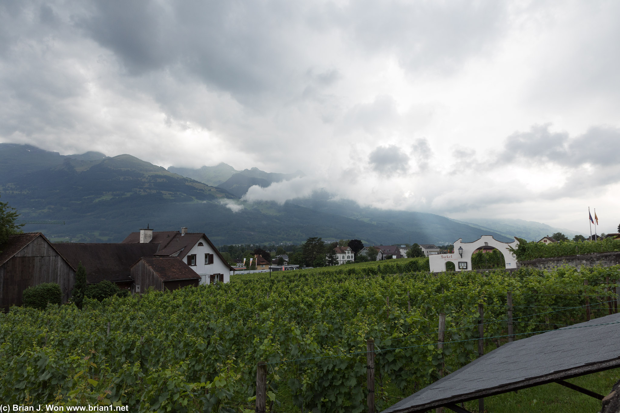 Given how crammed in those homes were, t'was a bit surprised to see a winery right next door.