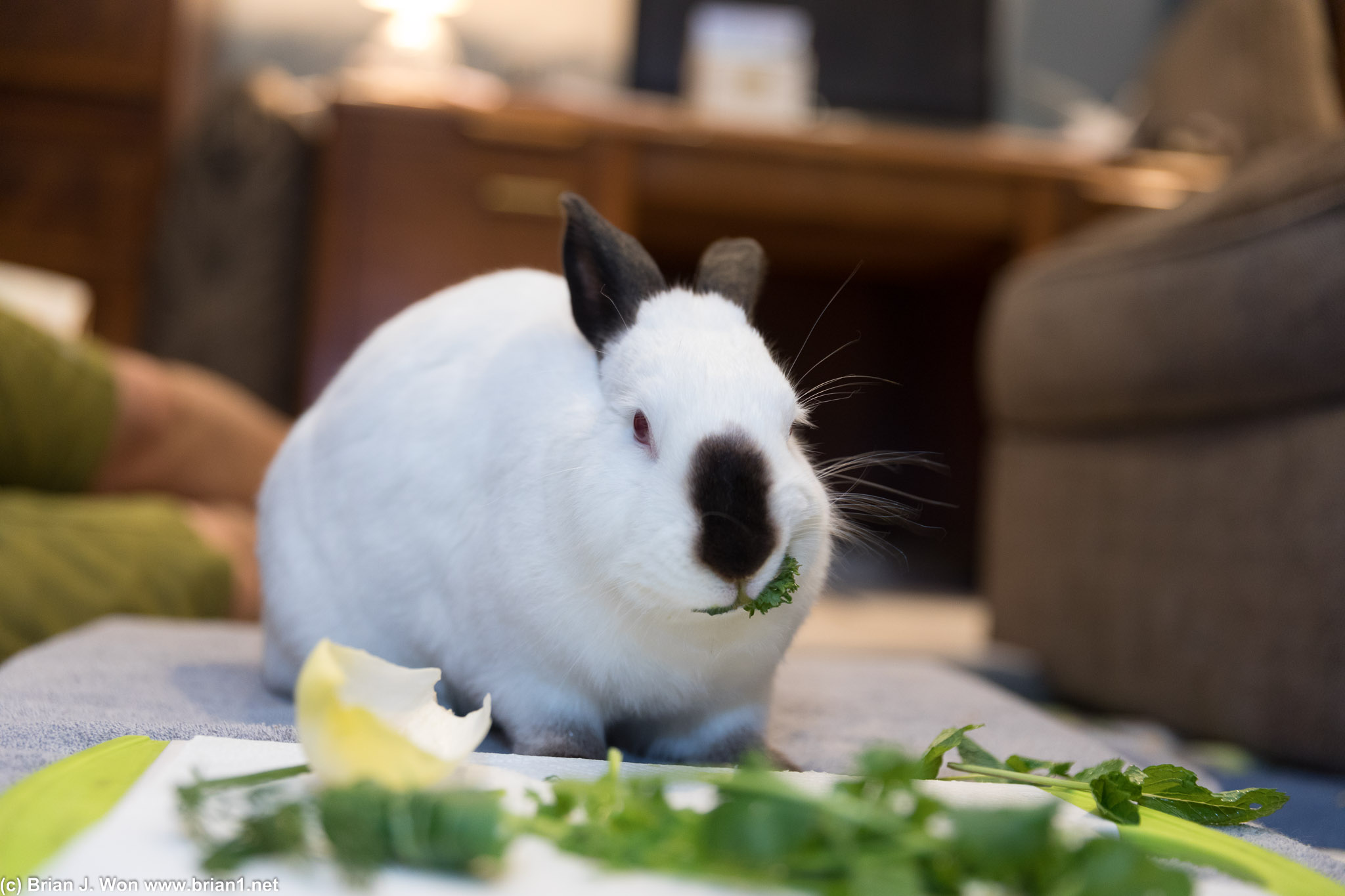 Duncan says it's time for dinner!