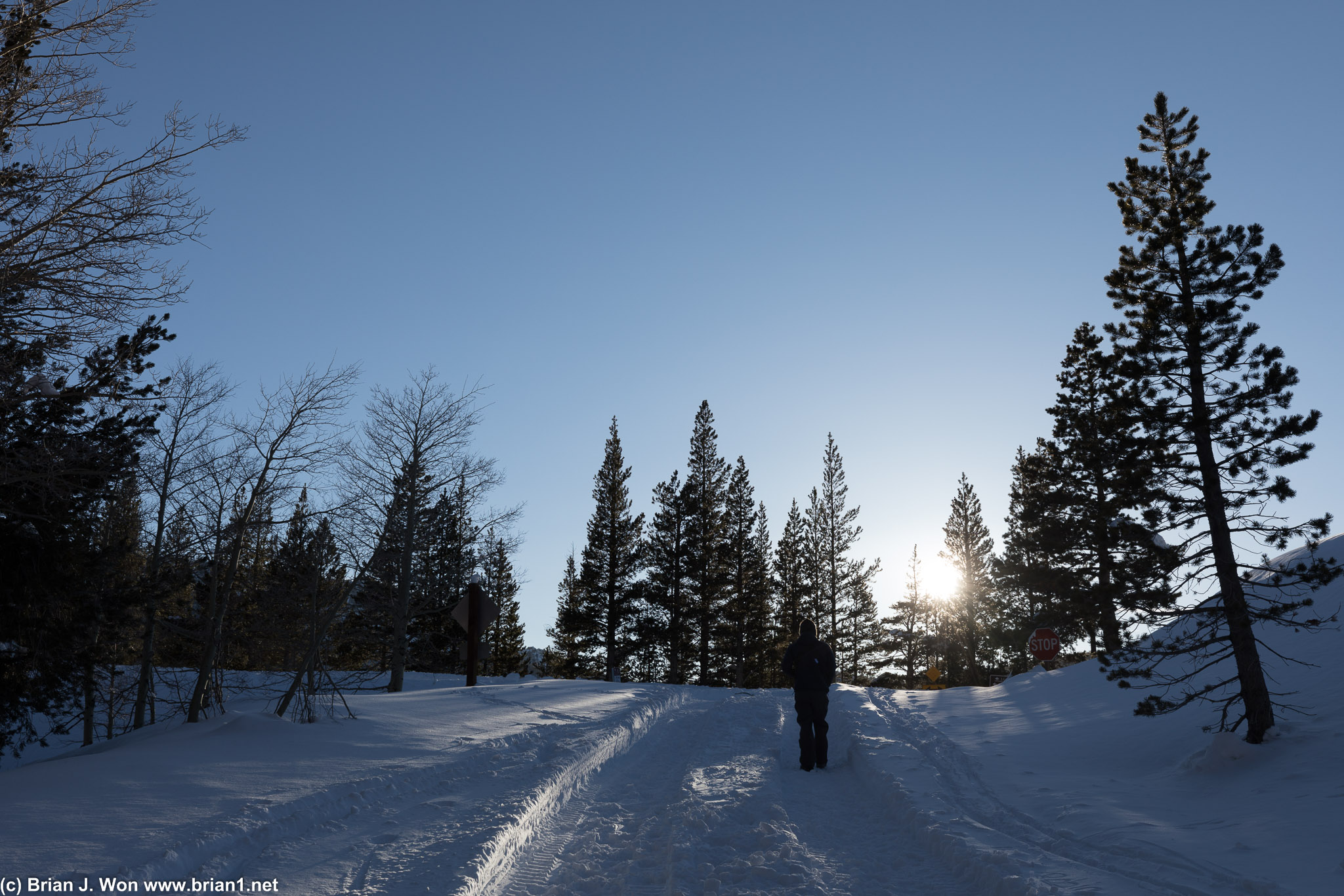 Out near Tamarack Lodge.