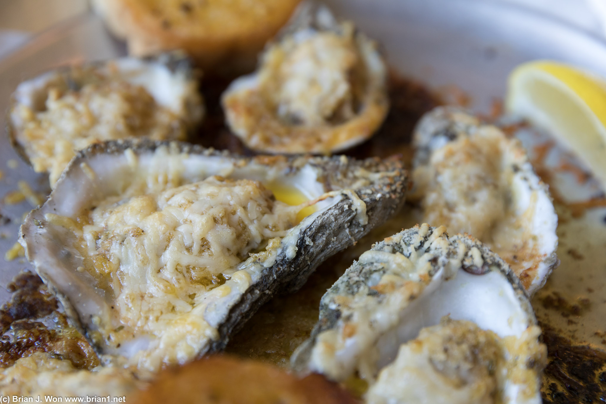 Chargrilled oysters at Gallier.