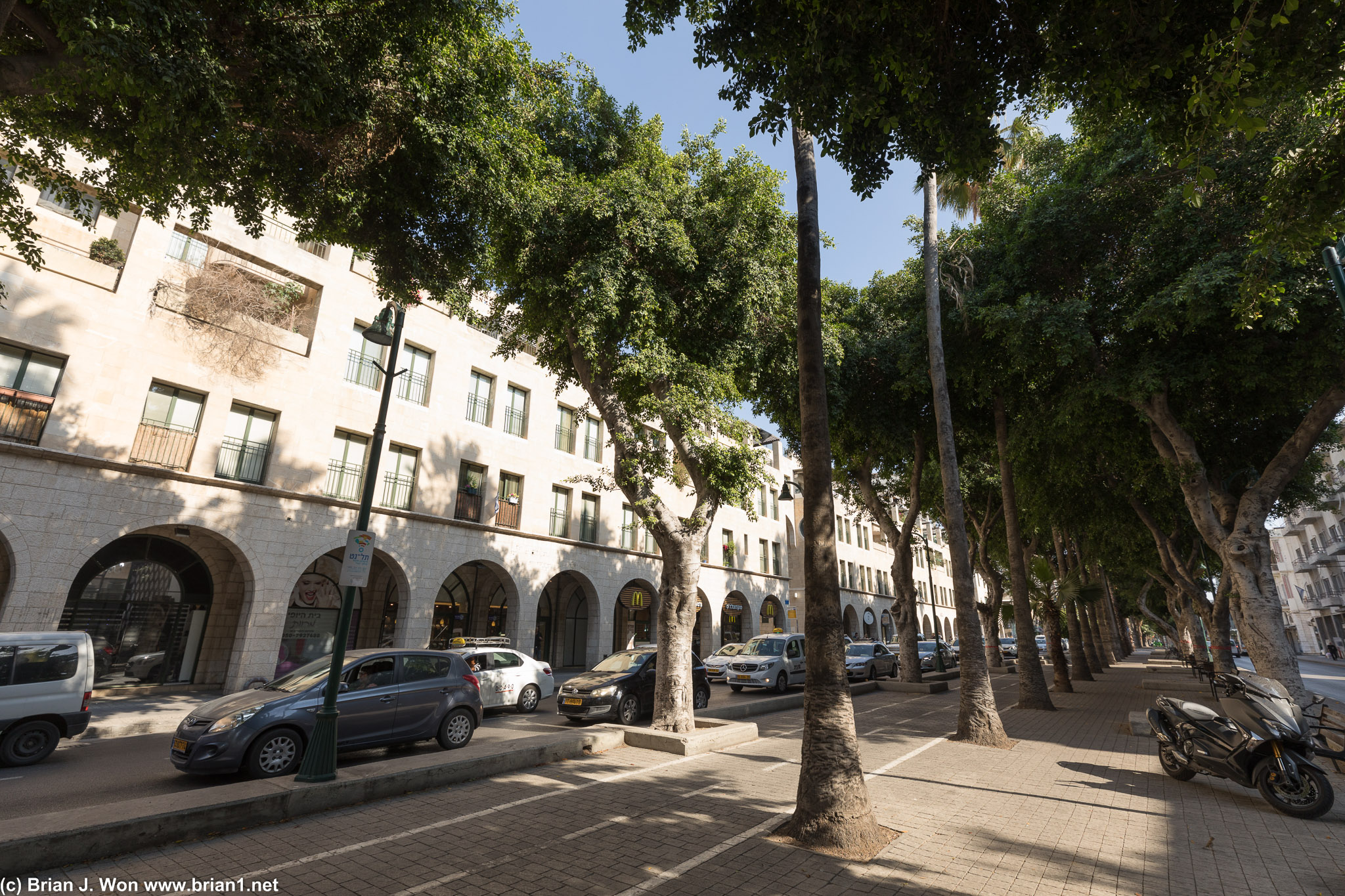 Tree-lined streets.